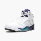 Nike Air Jordan 5 Retro Grape Bílý/New Emerald-Grp Ice-Blk pánské Běžné boty 136027 108 AJ5 Tenisky