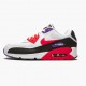 Nike Air Max 90 Raptors AJ1285 106 Dámské a pánské Běžecké boty