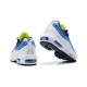 Pánské Air Max 95 TT Modrá Bílá Obuv DD9600-100