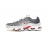 Pánské Air Max Plus Tn Šedá and Bílá Obuv
