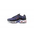 Pánské Air Max Plus Tn Fialová Černá CD0609-024 Obuv