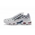Pánské Air Max Plus Tn Bílá Modrá CI9103-100 Obuv