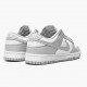 Nike Dunk Low Grey Fog DD1391 103 Pánské Běžné boty