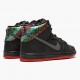 Nike Dunk SB High Spot Gasparilla 313171 028 Pánské Běžné boty