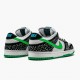 Nike Dunk SB Low Loon 313170 011 Dámské a pánské Běžné boty
