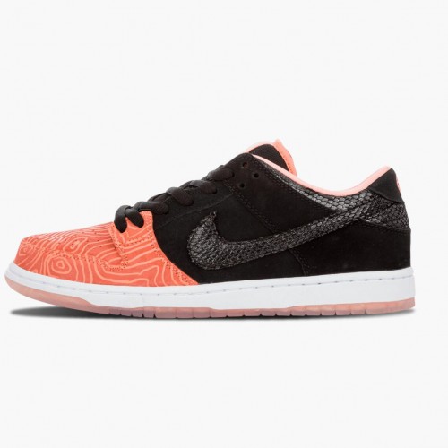 Nike Dunk SB Low Premier Fish Ladder 313170 603 Dámské a pánské Běžné boty