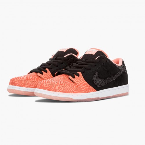 Nike Dunk SB Low Premier Fish Ladder 313170 603 Dámské a pánské Běžné boty