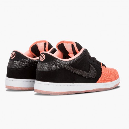 Nike Dunk SB Low Premier Fish Ladder 313170 603 Dámské a pánské Běžné boty