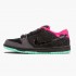 Nike Dunk SB Low Premier Northern Lights 724183 063 Dámské a pánské Běžné boty