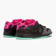 Nike Dunk SB Low Premier Northern Lights 724183 063 Dámské a pánské Běžné boty