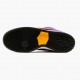 Nike SB Dunk Low ACG Terra BQ6817 008 Dámské a pánské Běžné boty
