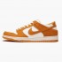 Nike SB Dunk Low Circuit Orange 854866 881 Dámské a pánské Běžné boty