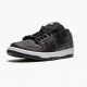 Nike SB Dunk Low Civilist CZ5123 001 Pánské Běžné boty