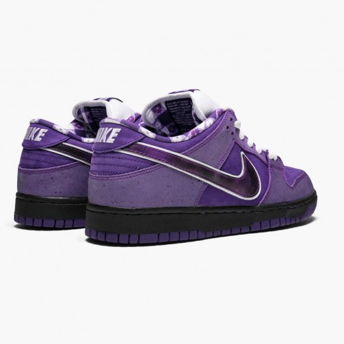 Nike SB Dunk Low Concepts Purple Lobster BV1310 555 Dámské a pánské Běžné boty