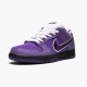 Nike SB Dunk Low Concepts Purple Lobster BV1310 555 Dámské a pánské Běžné boty