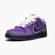 Nike SB Dunk Low Concepts Purple Lobster BV1310 555a Dámské a pánské Běžné boty