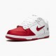Nike SB Dunk Low Supreme Jewel Swoosh Red CK3480 600 Pánské Běžné boty